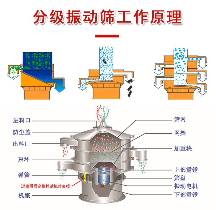 分級振動篩內部結構：進料口，防塵蓋，出料口，束環，彈簧，機座，篩網，網架，上部重錘，振動電機，下部重錘。